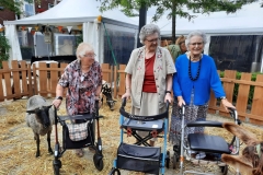 2021-09-10-Wicherumloo-11.00-Beestenboel-78