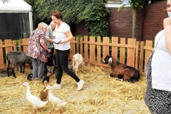 2021-09-10-Wicherumloo-13.00-Beestenboel-11