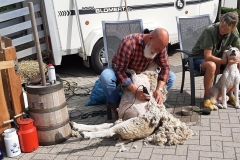 2021-09-10-Wicherumloo-13.00-Beestenboel-9
