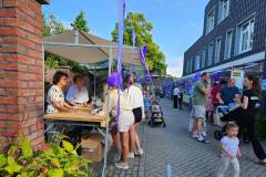 Heidedag-2025-08-28-109