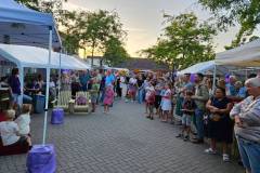 Heidedag-2025-08-28-127