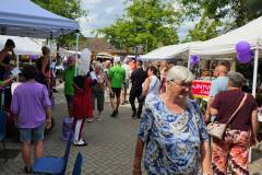 Heidedag-2025-08-28-24