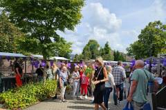Heidedag-2025-08-28-39