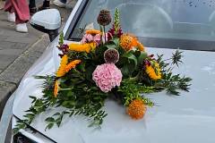 Heidedag-2025-08-28-50