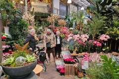 2025-11-14-Wicherumloo-naar-Intra-Tuin-104