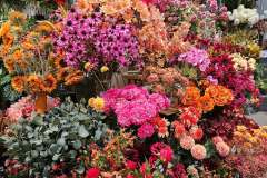 2025-11-14-Wicherumloo-naar-Intra-Tuin-105