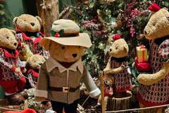 2025-11-14-Wicherumloo-naar-Intra-Tuin-111