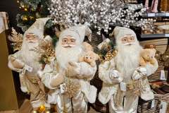 2025-11-14-Wicherumloo-naar-Intra-Tuin-116