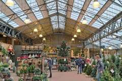 2025-11-14-Wicherumloo-naar-Intra-Tuin-157