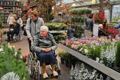 2025-11-14-Wicherumloo-naar-Intra-Tuin-75