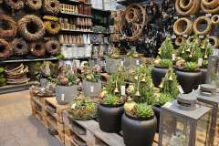 2025-11-14-Wicherumloo-naar-Intra-Tuin-81