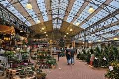 2025-11-14-Wicherumloo-naar-Intra-Tuin-82