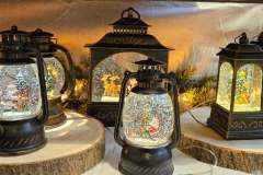 2025-11-14-Wicherumloo-naar-Intra-Tuin-84