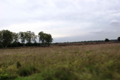 SONY DSC