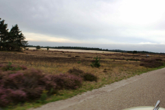 SONY DSC