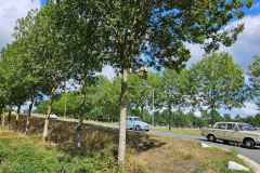 2026-08-22-WICHERUMLOOSE-OLDTIMERTOURTOCHT-15