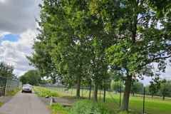2026-08-22-WICHERUMLOOSE-OLDTIMERTOURTOCHT-17