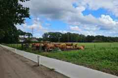 2026-08-22-WICHERUMLOOSE-OLDTIMERTOURTOCHT-49