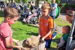 2025-05-17-Roofvogelshow-6