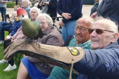 2025-05-17-WICHERUMLOO-Verbindingsweek-Roofvogelshow-104