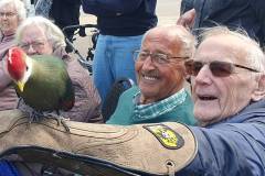 2025-05-17-WICHERUMLOO-Verbindingsweek-Roofvogelshow-105