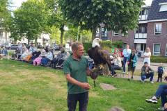 2025-05-17-WICHERUMLOO-Verbindingsweek-Roofvogelshow-112