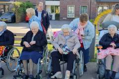 2025-05-17-WICHERUMLOO-Verbindingsweek-Roofvogelshow-56
