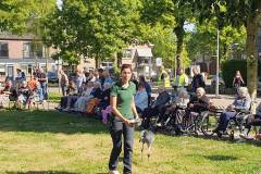 2025-05-17-WICHERUMLOO-Verbindingsweek-Roofvogelshow-63