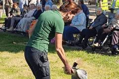 2025-05-17-WICHERUMLOO-Verbindingsweek-Roofvogelshow-64