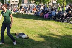 2025-05-17-WICHERUMLOO-Verbindingsweek-Roofvogelshow-65