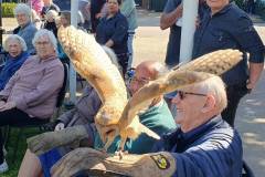 2025-05-17-WICHERUMLOO-Verbindingsweek-Roofvogelshow-75
