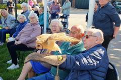 2025-05-17-WICHERUMLOO-Verbindingsweek-Roofvogelshow-76