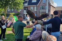 2025-05-17-WICHERUMLOO-Verbindingsweek-Roofvogelshow-78