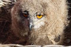 IMG-20250517-WA0012