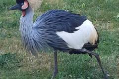 IMG-20250517-WA0013