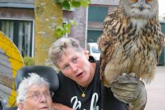 Wicherumloo-2025-05-17-Roofvogelshow-10