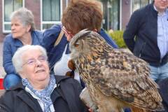 Wicherumloo-2025-05-17-Roofvogelshow-11