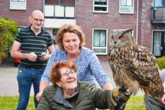 Wicherumloo-2025-05-17-Roofvogelshow-13