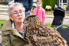 Wicherumloo-2025-05-17-Roofvogelshow-15