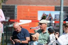 Wicherumloo-2025-05-17-Roofvogelshow-23