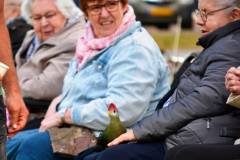 Wicherumloo-2025-05-17-Roofvogelshow-25
