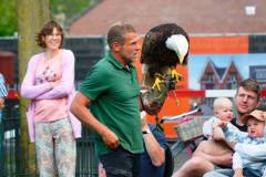 Wicherumloo-2025-05-17-Roofvogelshow-37