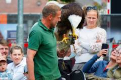 Wicherumloo-2025-05-17-Roofvogelshow-38