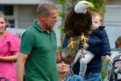 Wicherumloo-2025-05-17-Roofvogelshow-39