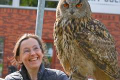 Wicherumloo-2025-05-17-Roofvogelshow-4