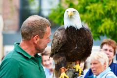 Wicherumloo-2025-05-17-Roofvogelshow-5