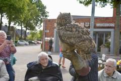 Wicherumloo-2025-05-17-Roofvogelshow-8