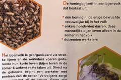 2025-05-15-Wicherumloo-Verbindingsweek-Imker-2
