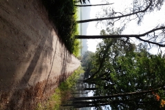 2021-10-09-Wicherumloop-28