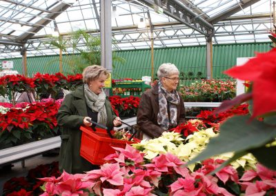 2018-11-28 Wicherumloo naar Eurofleur Leusden (13)